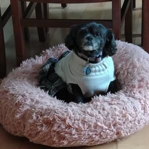 Meet your Posher, Kathy